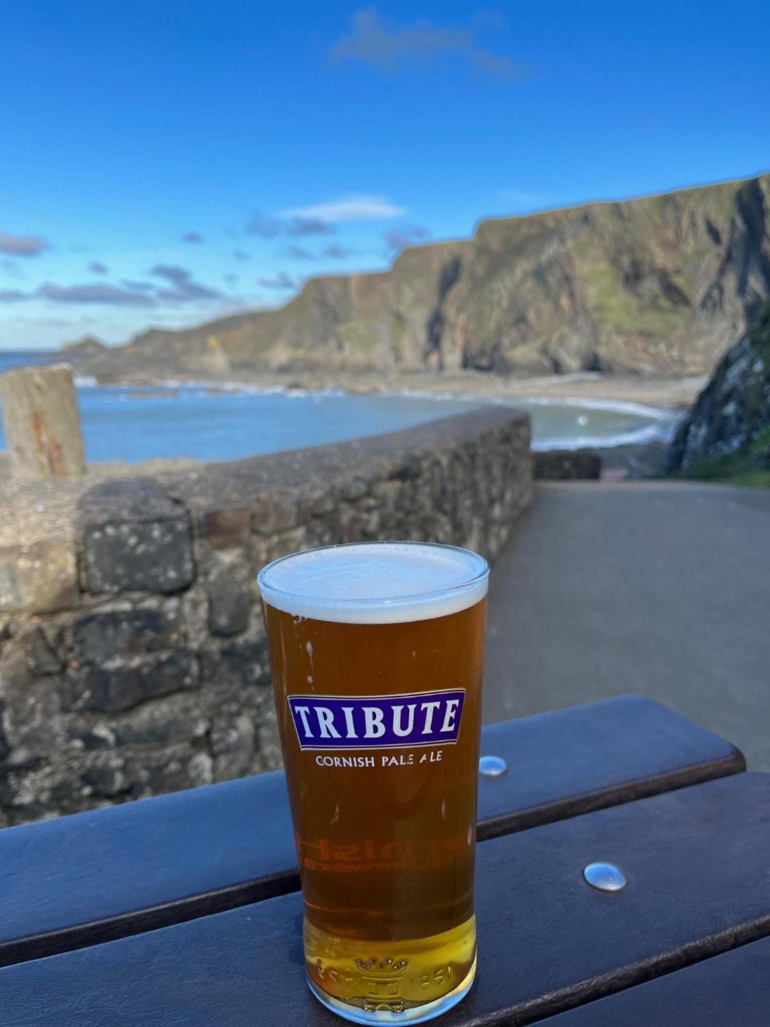 Hartland Quay Hotel エクステリア 写真