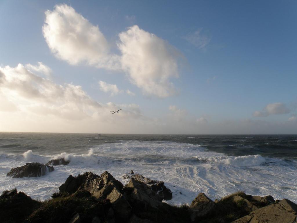 Hartland Quay Hotel 部屋 写真