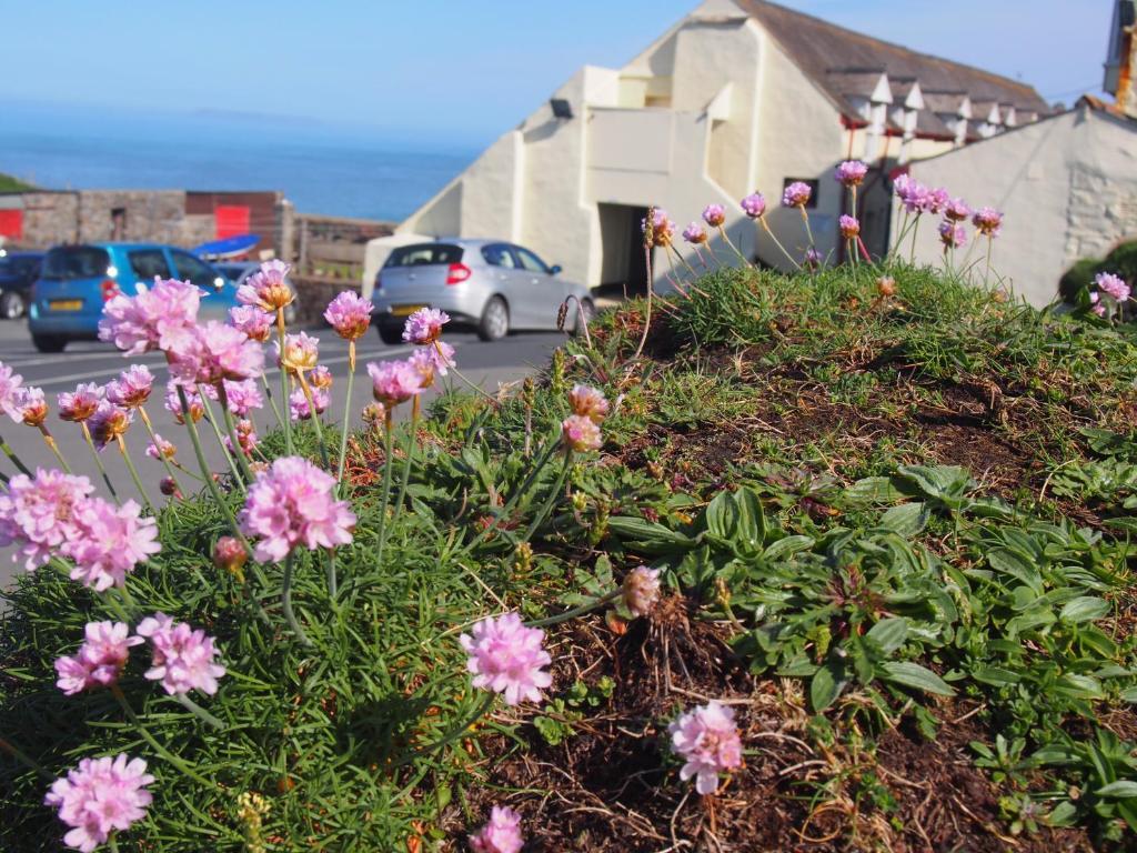 Hartland Quay Hotel 部屋 写真